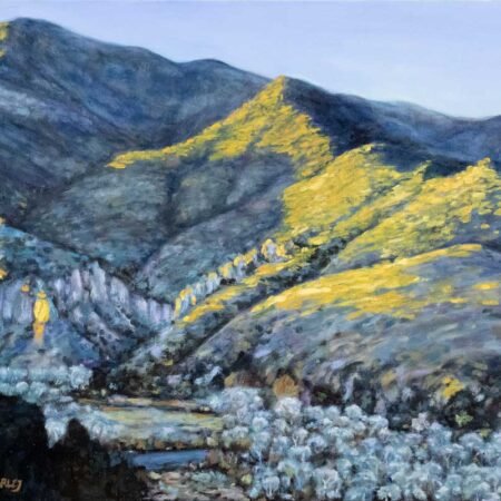 Lower Gila, New Mexico